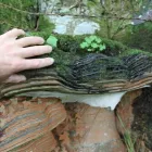 Business 10 image TREECREEPER ARBORICULTURE Tree Services in Norwich No