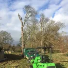 Business 12 image TREECREEPER ARBORICULTURE Tree Services in Norwich No