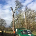 Business 14 image TREECREEPER ARBORICULTURE Tree Services in Norwich No