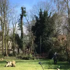 Business 19 image TREECREEPER ARBORICULTURE Tree Services in Norwich No