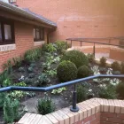 Business 3 image TREES & ALL THINGS GREEN Tree Services in Nottingham No