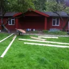 Business 44 image TREES & ALL THINGS GREEN Tree Services in Nottingham No