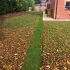 Business 61 image TREES & ALL THINGS GREEN Tree Services in Nottingham No