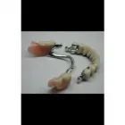 Business 3 image TSBSMILE LTD Dental Technicians in Edinburgh Mi