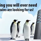 Business 1 image UMBRELLA HOST Web Hosting & Domain Name Registration in Rochdale Gr