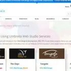 Business 1 image UMBRELLA WEB STUDIO Web Design in Rochdale Gr