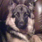 Business 6 image URBANSUITE Furniture - Retail in Manchester La