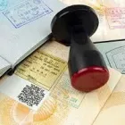 Business 4 image USA INTERNSHIP - VIRA INTERNATIONAL Immigration & Naturalisation Consultants in Harrow Gr