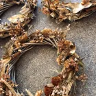 Business 15 image VALLEY OF FLOWERS LTD Shopping & Retail in Norwich No