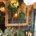 Business 20 image VALLEY OF FLOWERS LTD Shopping & Retail in Norwich No