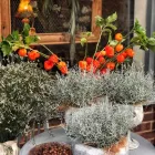 Business 34 image VALLEY OF FLOWERS LTD Shopping & Retail in Norwich No