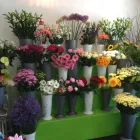 Business 73 image VENDELA ROSE FLORAL DESIGN Shopping & Retail in Reading Be