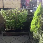 Business 1 image VERAX INTERNATIONAL LTD Management & Business Consultants in Reading Be