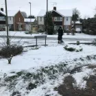 Business 4 image VIKING GARDEN SERVICES LTD Tree Services in Farnborough Ha