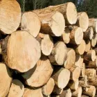 Business 1 image W.G. BURBRIDGE Deck & Patio Builders in Ramsgate Ke