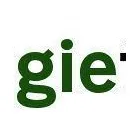 Business 1 image WAGGIE TAILZ LTD Dog Walking in Bolton La