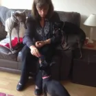 Business 3 image WAGGY WALKS 4 DOGS Pets & Animals in Farnborough Ha