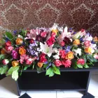 Business 5 image WALKER'S FUNERAL DIRECTORS Funeral Directors in Penrith Cu