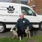 Business 2 image WALKS 'N' ALL Dog Walking in Altrincham Ch