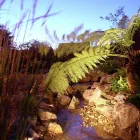 Business 2 image WALSALL TEACHING PRIMARY CARE TRUST Clinics in Walsall We