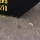 Business 1 image WASTEBUSTERS SKIP HIRE Waste Management in Croydon Gr