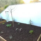 Business 36 image WEBSTER GARDENING LTD Tree Services in Midsomer Norton So