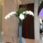 Business 6 image WEDDING FLOWERS IN MANCHESTER Wedding Supplies in Manchester Gr