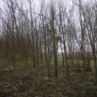 Business 1 image WESCOTT REFRIGERATION & AIR CONDITIONING LTD Air Conditioning Services in Coventry We