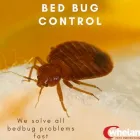 Business 9 image WHELAN PEST BERKSHIRE Pest & Animal Control in Reading Be