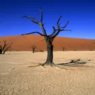 Business 10 image WHITWORTH CHEMISTS LTD Pharmacies in Hull No