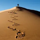 Business 11 image WHITWORTH CHEMISTS LTD Pharmacies in Hull No