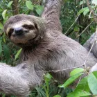 Business 14 image WHITWORTH CHEMISTS LTD Pharmacies in Hull No