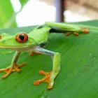 Business 1 image WHITWORTH CHEMISTS LTD Pharmacies in Hull No