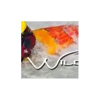 Business 1 image WILD RIVER Water Sports in Penrith Cu