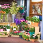 Business 4 image WINE & ROSES Florists in Cardiff So