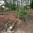 Business 1 image WREKIN OAK OUTDOOR SERVICES Tree Services in Telford Sh