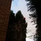 Business 8 image WREKIN OAK OUTDOOR SERVICES Tree Services in Telford Sh