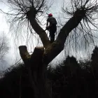 Business 9 image WREKIN OAK OUTDOOR SERVICES Tree Services in Telford Sh