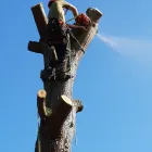 Business 10 image WREKIN OAK OUTDOOR SERVICES Tree Services in Telford Sh