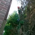 Business 12 image WREKIN OAK OUTDOOR SERVICES Tree Services in Telford Sh