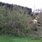 Business 13 image WREKIN OAK OUTDOOR SERVICES Tree Services in Telford Sh