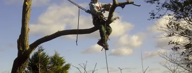 Business 6 image ACORN TREE CARE Tree Work in Huddersfield We