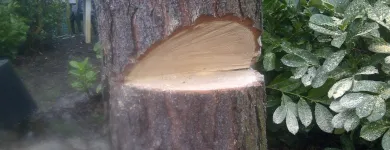 Business 9 image ACORN TREE CARE Tree Work in Huddersfield We