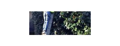 Business 9 image BARNES GARDENING SERVICES Garden Services in Dover Ke