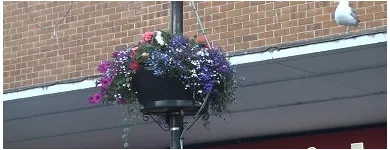 Business 16 image BARNES GARDENING SERVICES Garden Services in Dover Ke