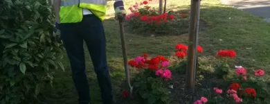 Business 2 image BARNES GARDENING SERVICES Garden Services in Dover Ke