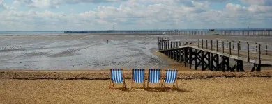 Business 2 image BEST SEO IN ESSEX Web Developers in Southend On Sea Es