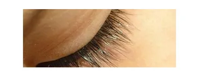 Business 4 image BROADWOOD ESTATES LTD Property Management in Stockport Ch