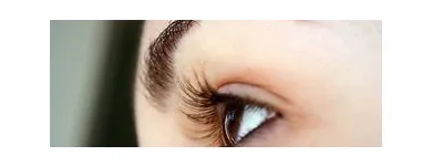 Business 1 image BROADWOOD ESTATES LTD Property Management in Stockport Ch