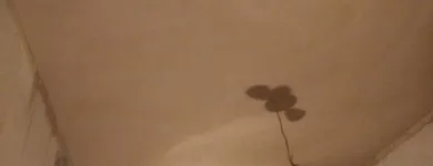 Business 18 image BSB PLASTERING Roofing Contractors in Wigan La